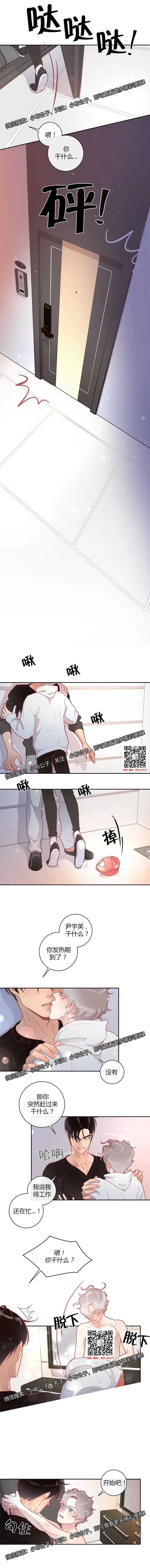 章节图片