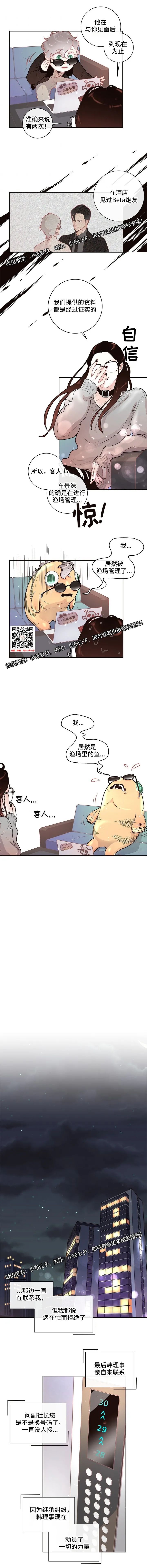 章节图片