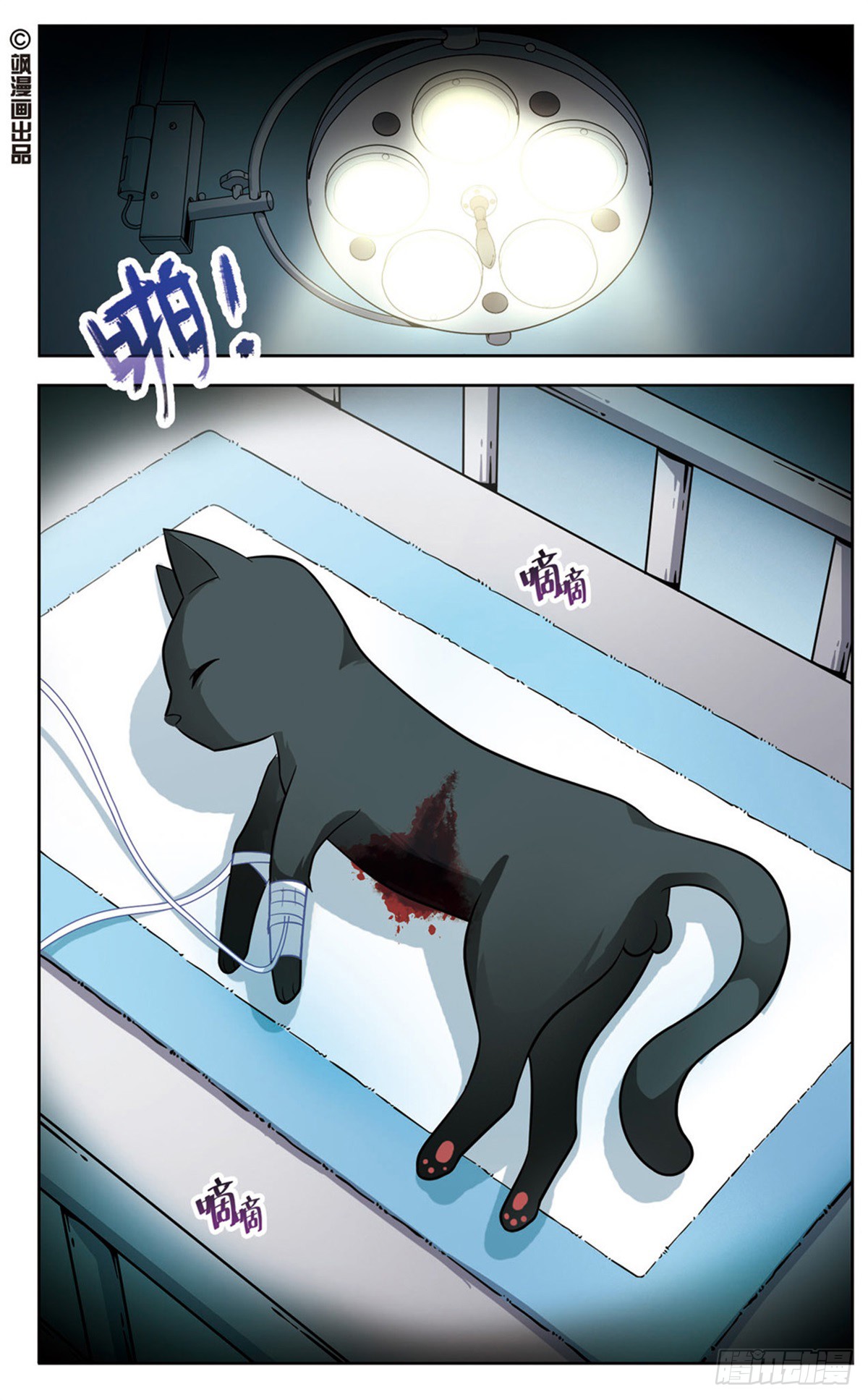 章节图片