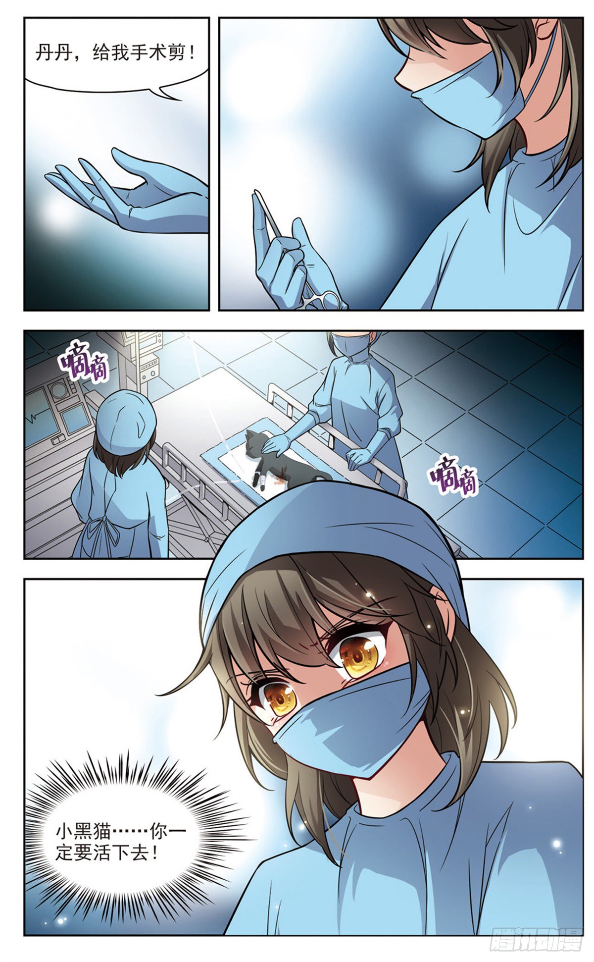 章节图片