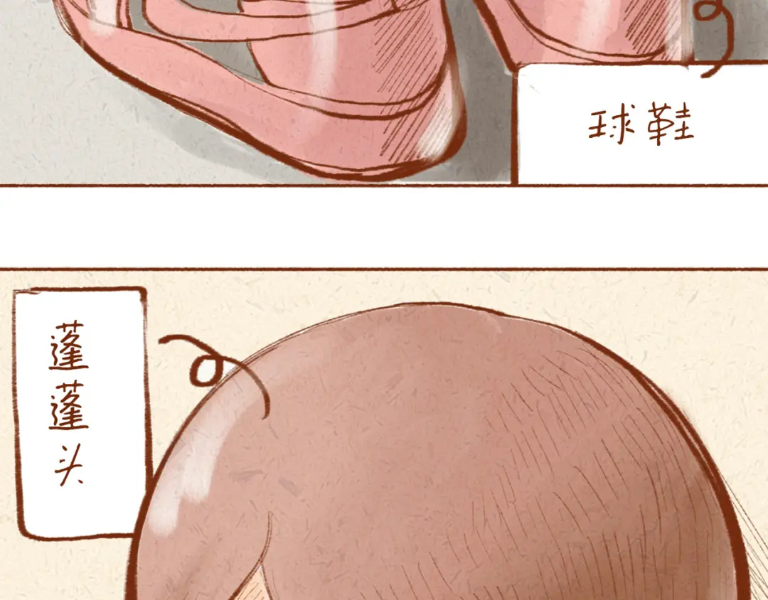 章节图片