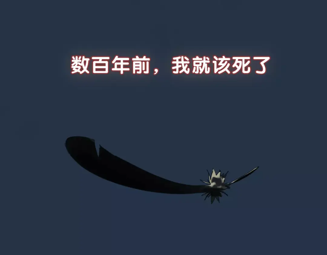 章节图片