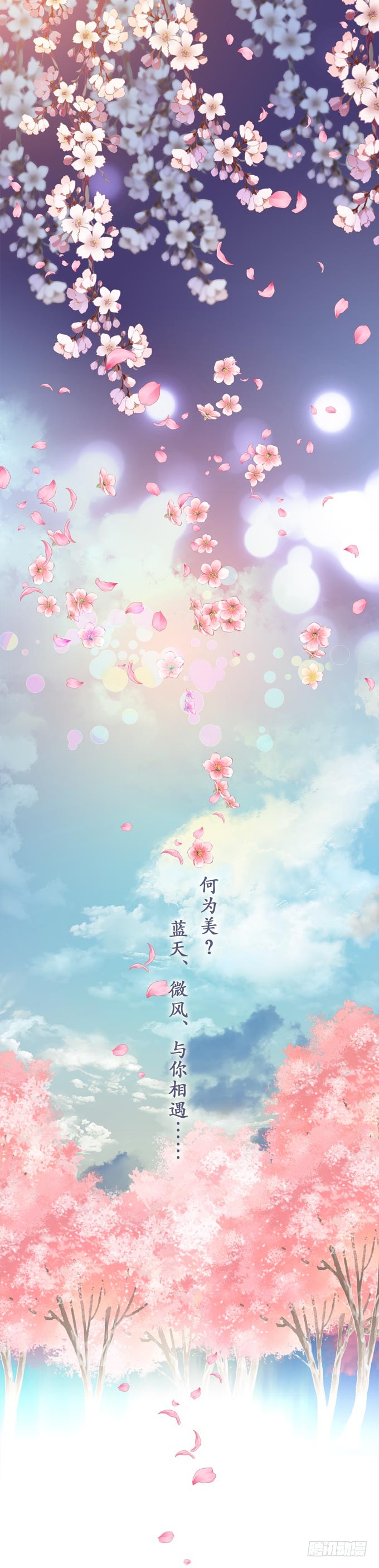 章节图片