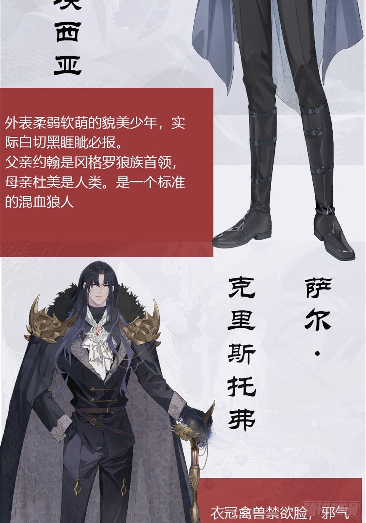 章节图片