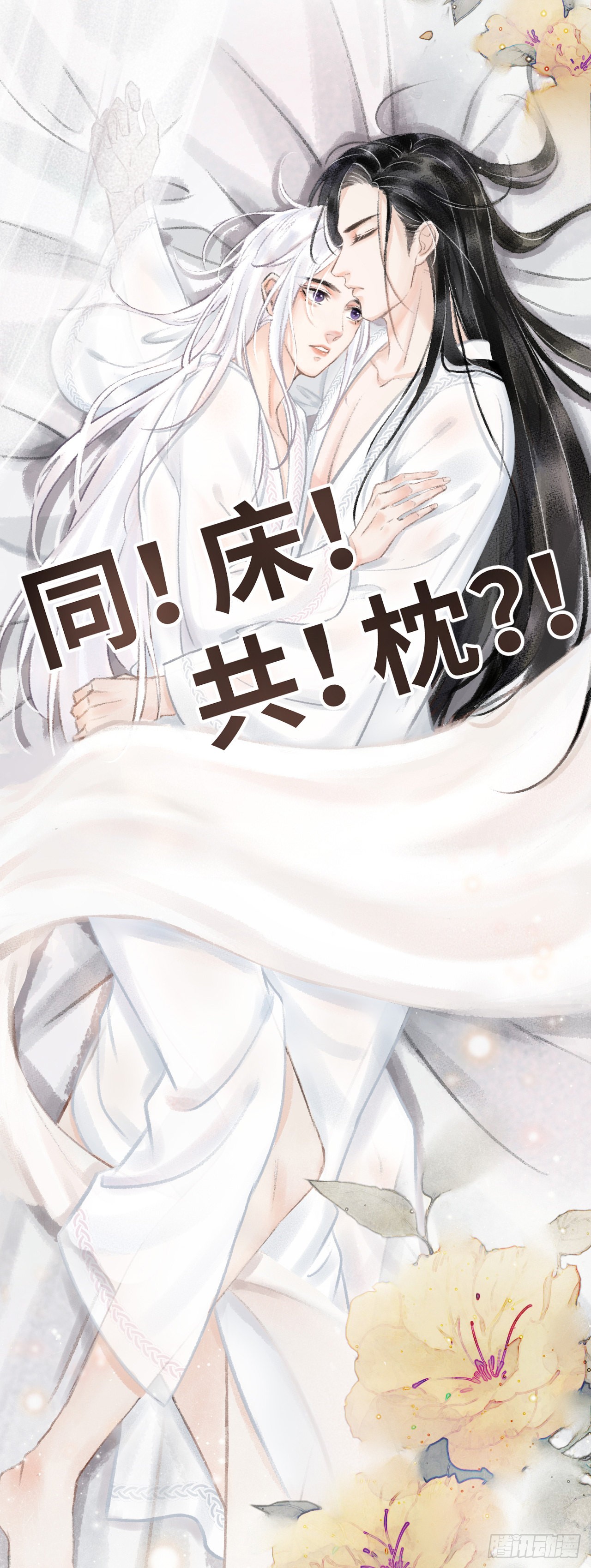 章节图片