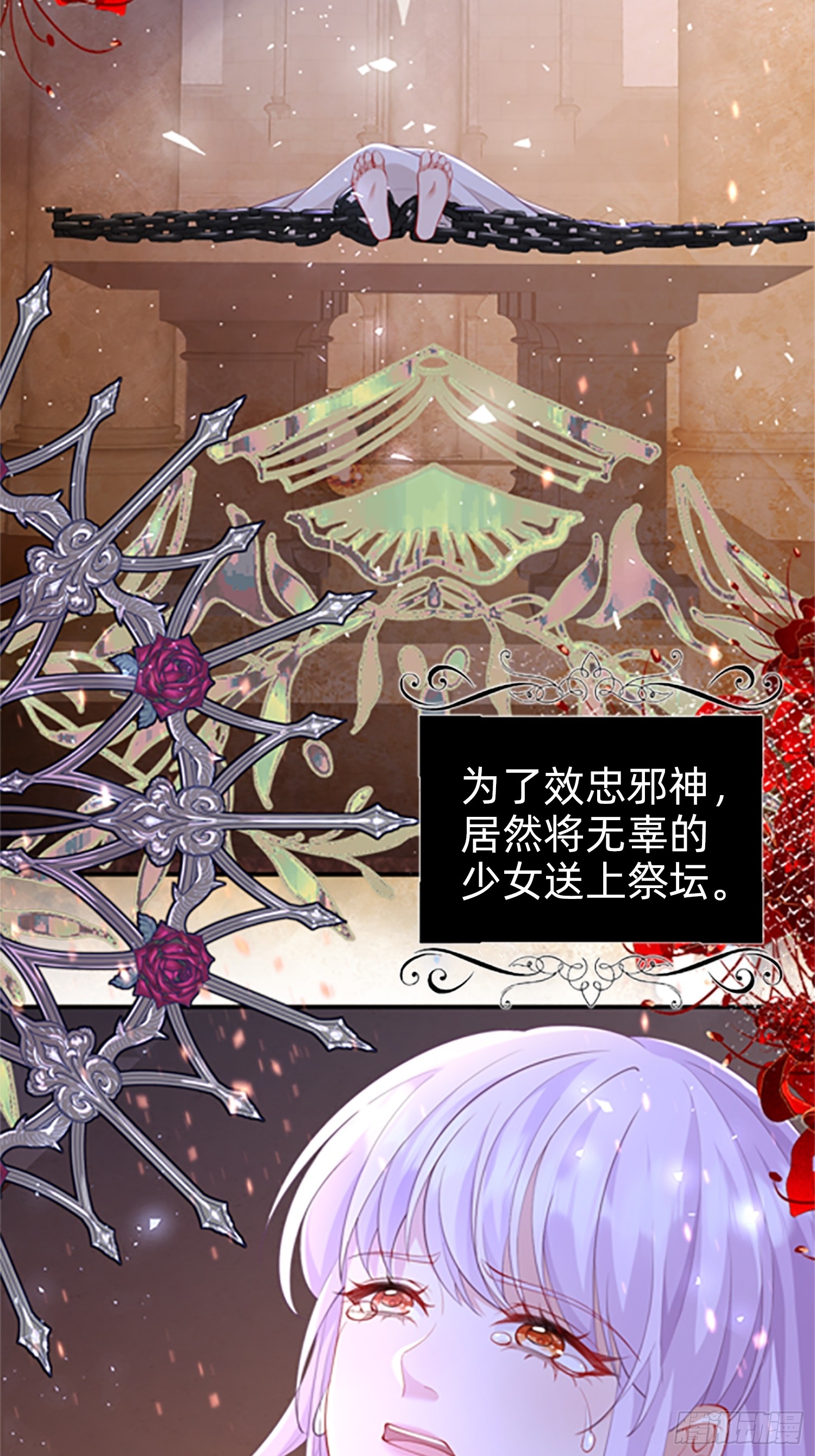 章节图片