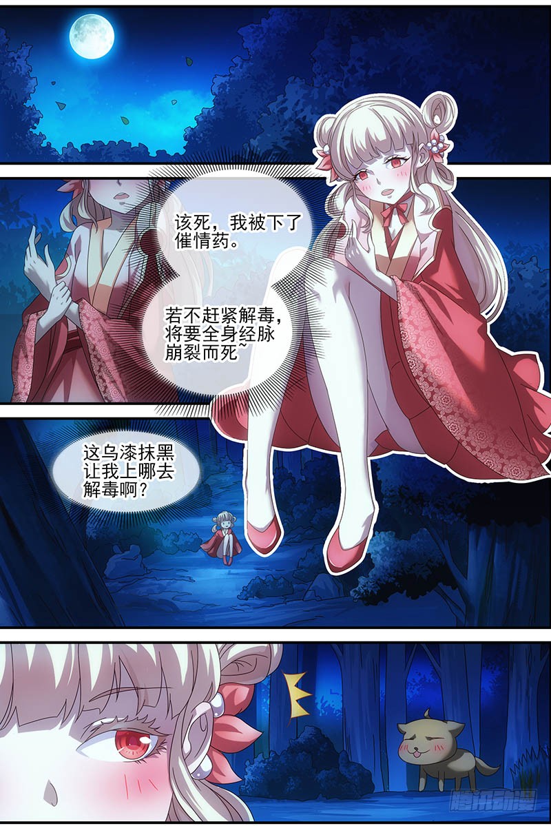 章节图片