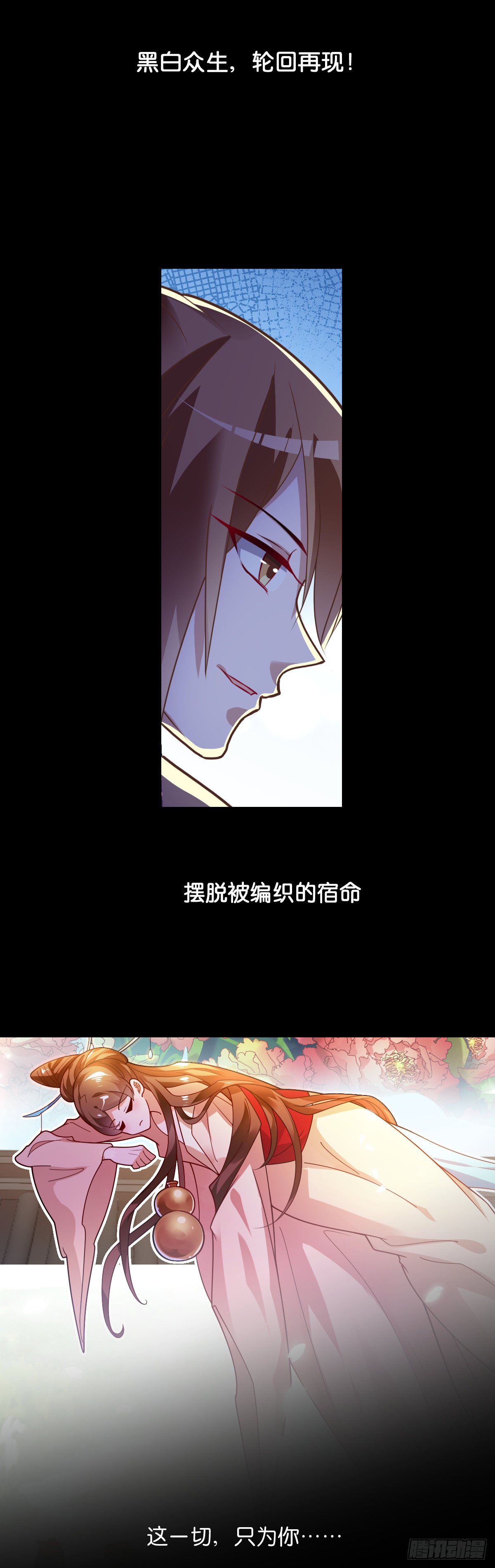 章节图片