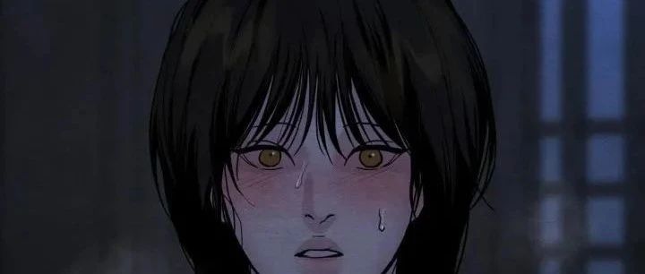 野画集第1-4季完整版在哪看?