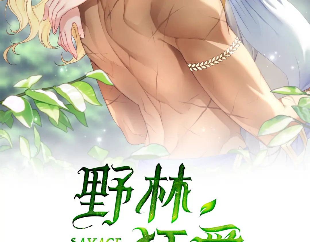章节图片