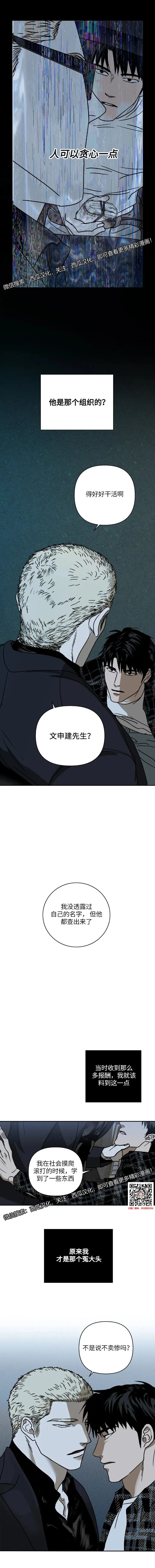 章节图片