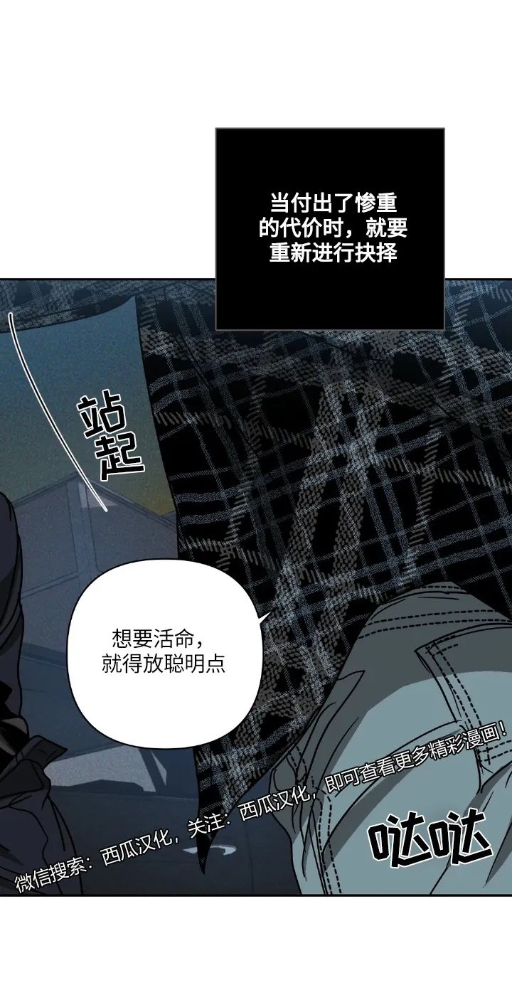 章节图片