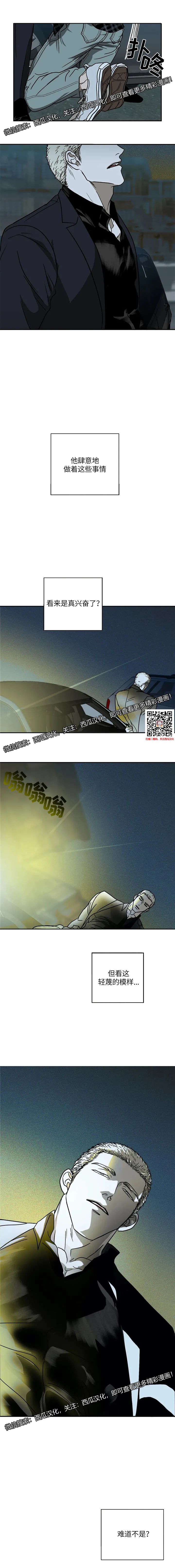 章节图片