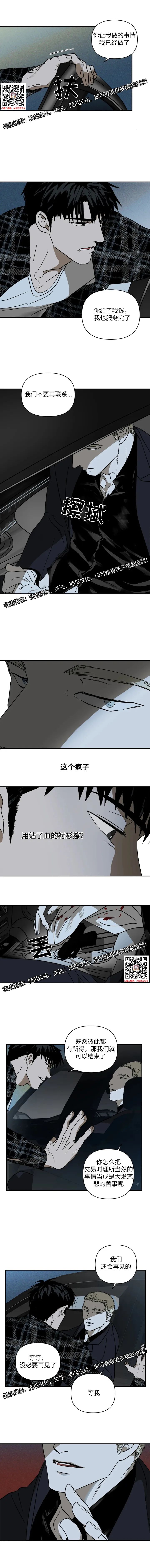 章节图片