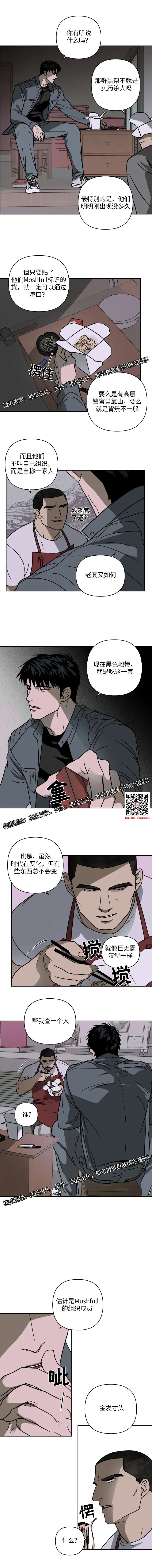 章节图片