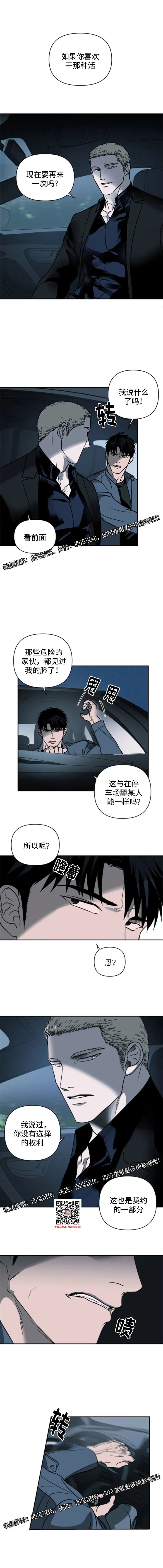 章节图片