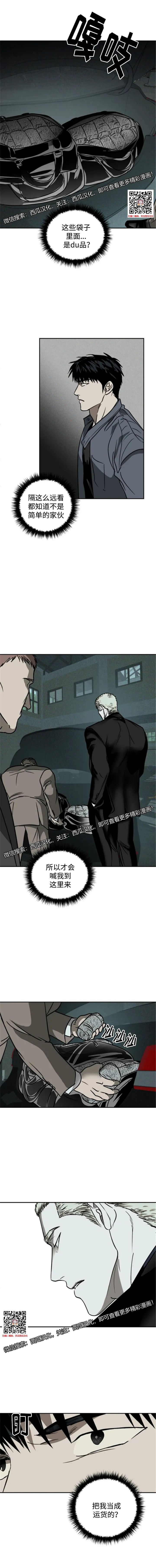 章节图片