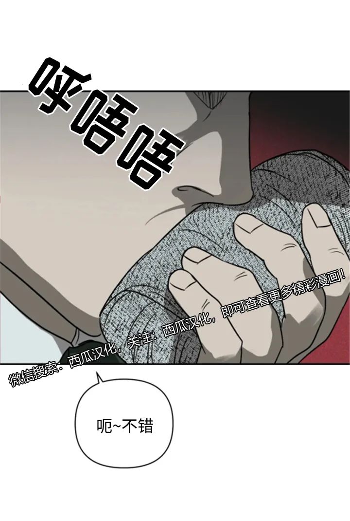 章节图片