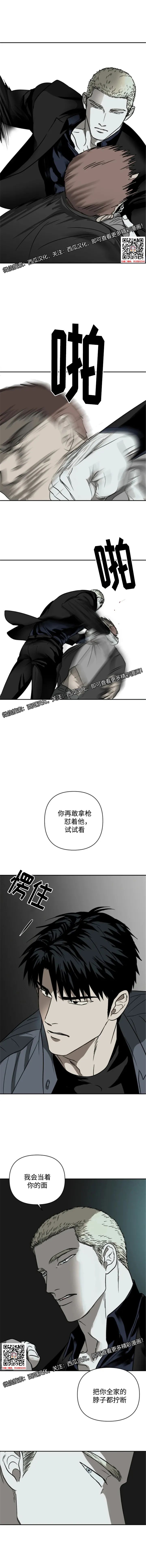 章节图片