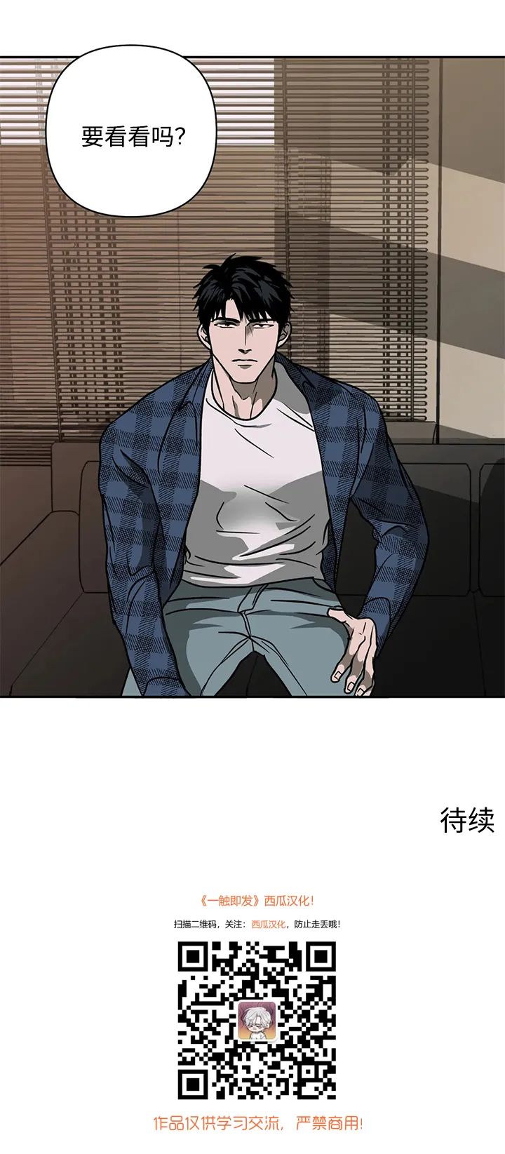 章节图片