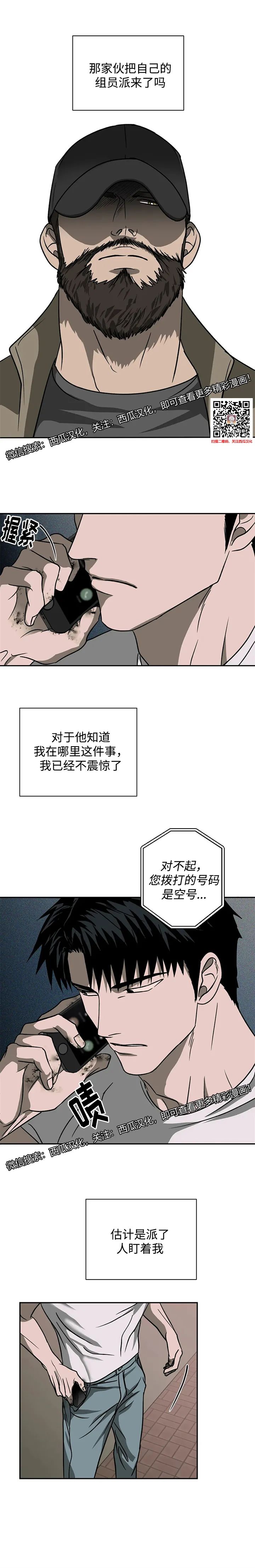 章节图片