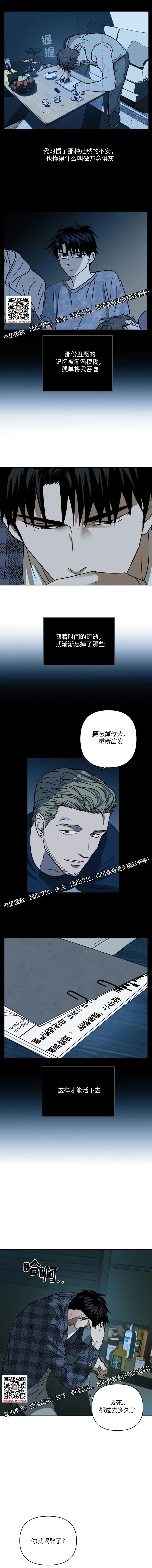 章节图片