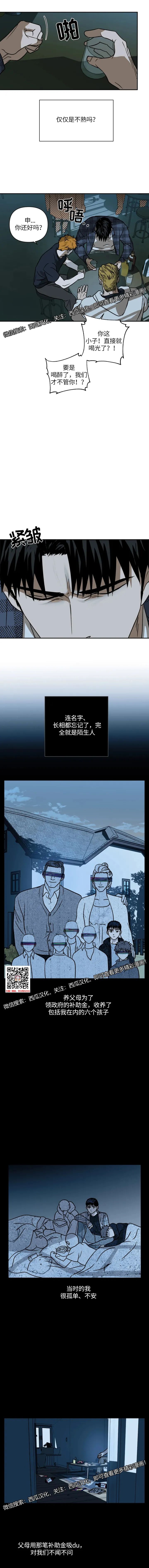 章节图片