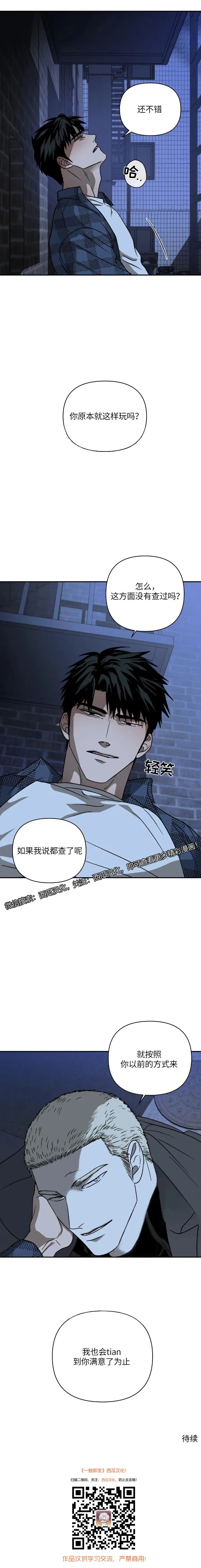 章节图片