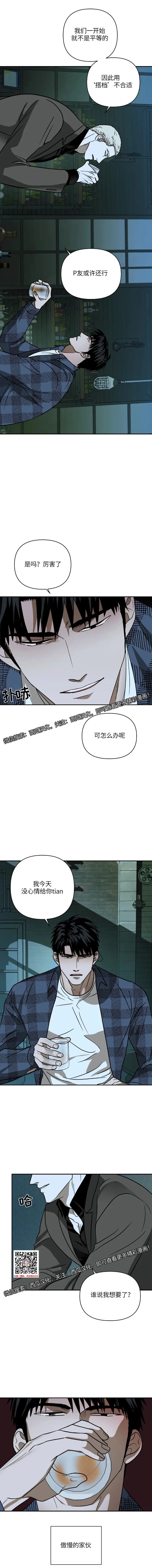 章节图片