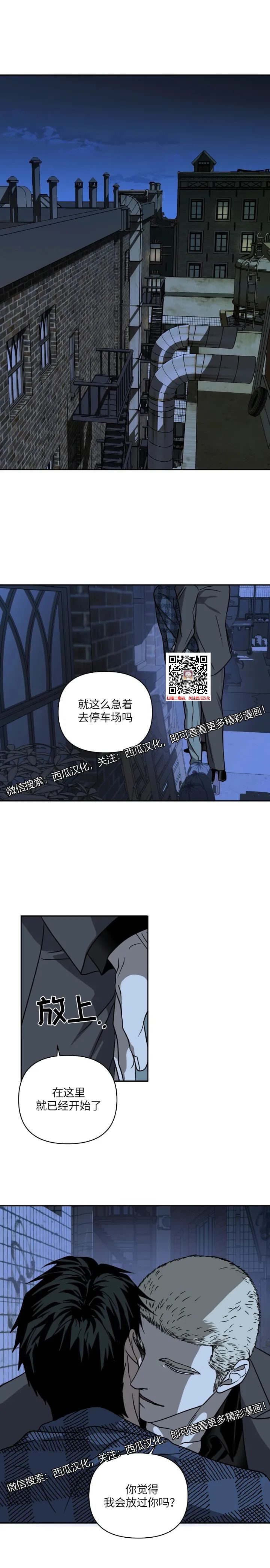 章节图片