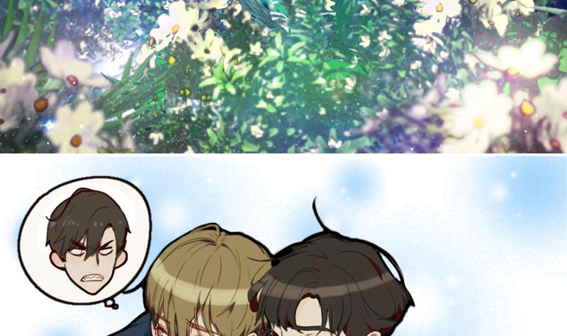 章节图片