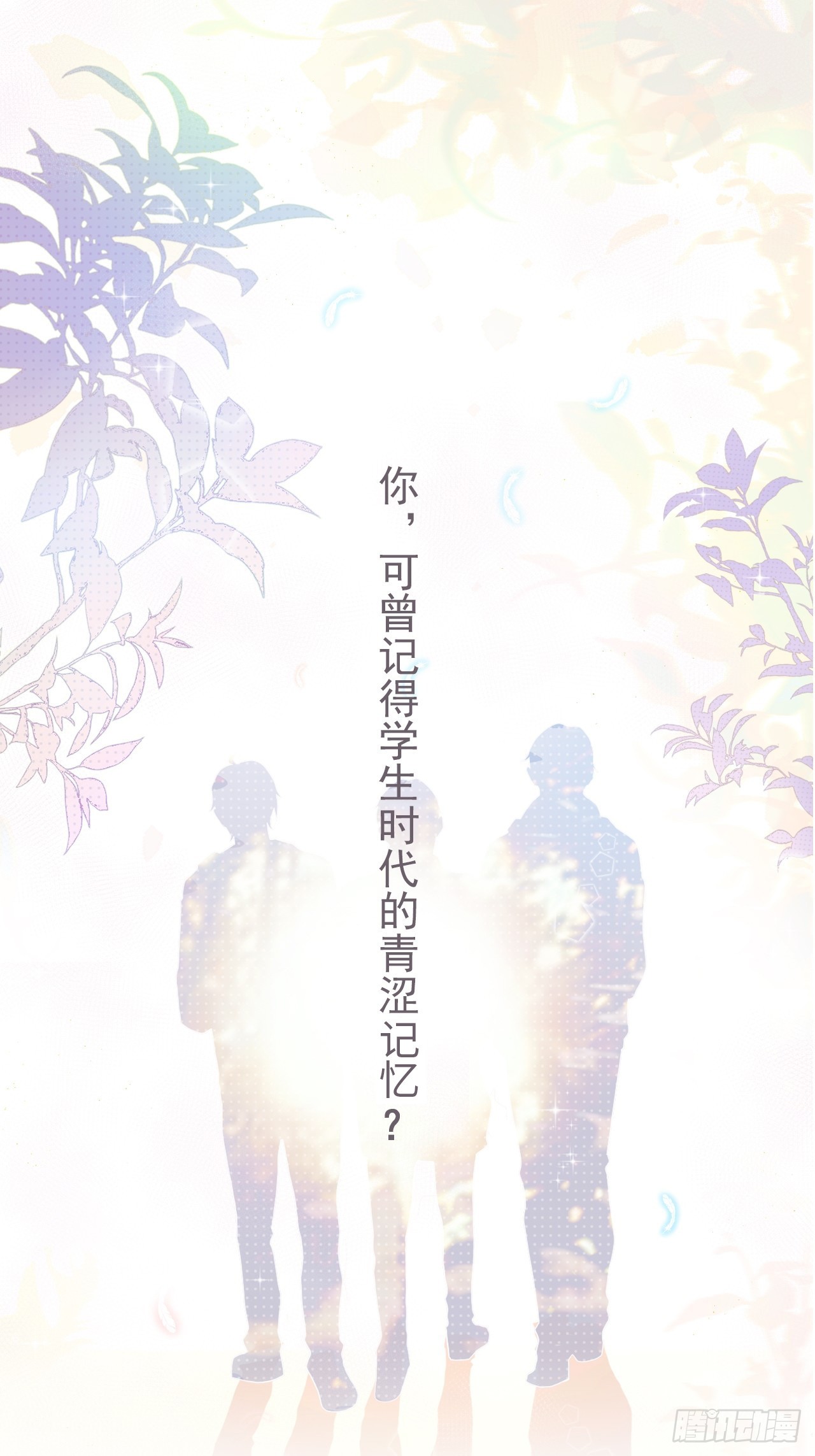 章节图片