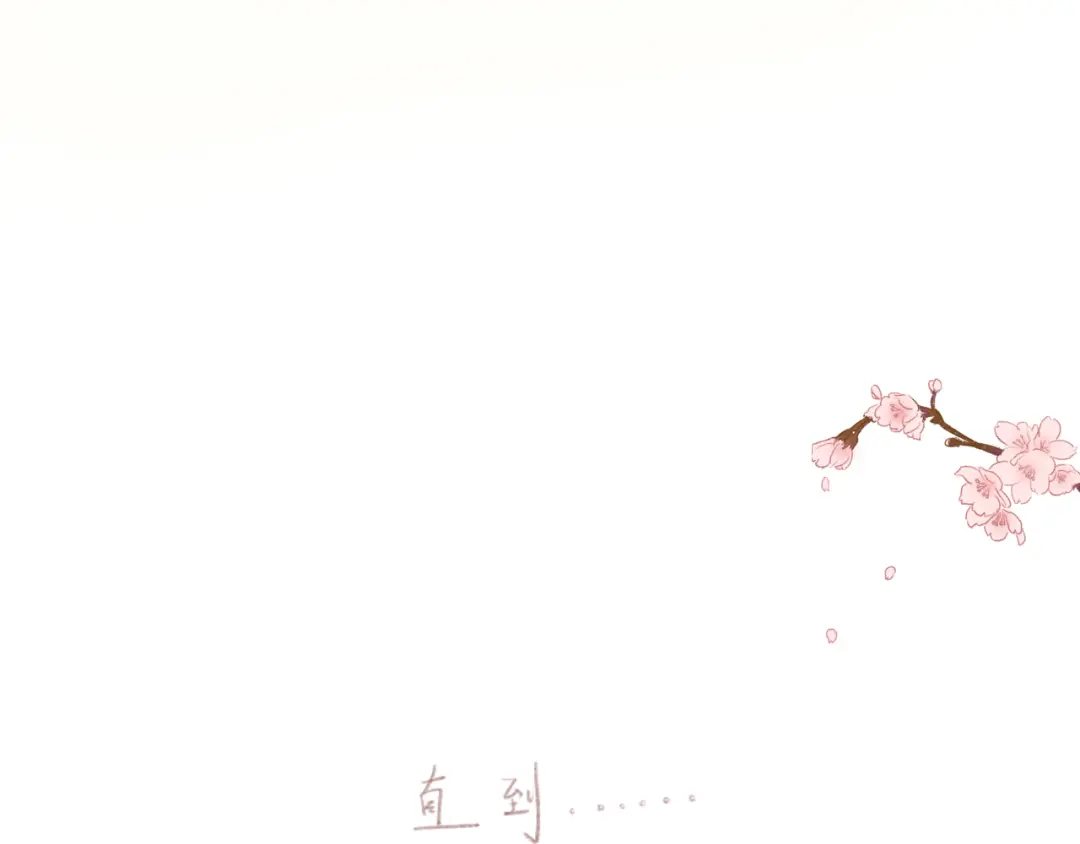 章节图片