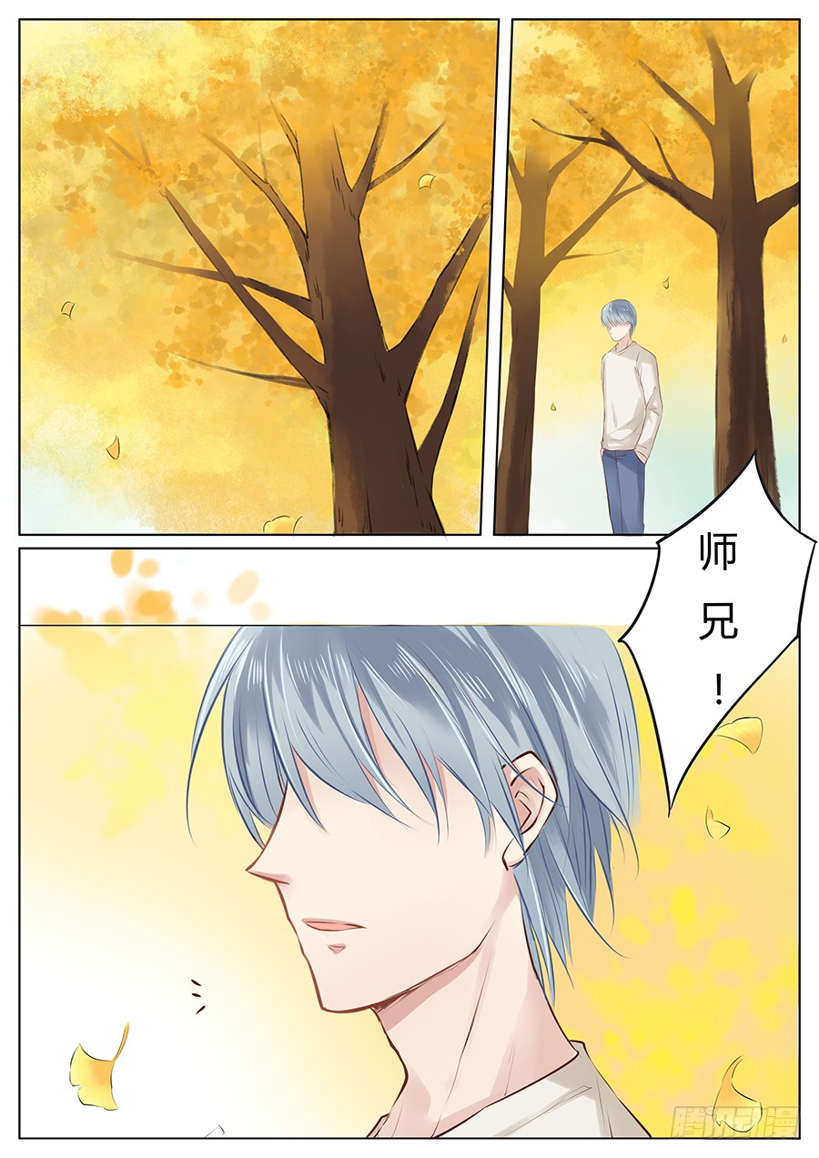 章节图片