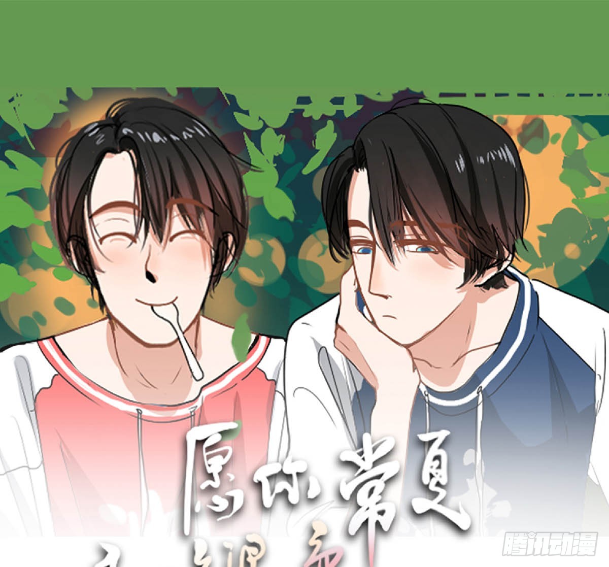章节图片