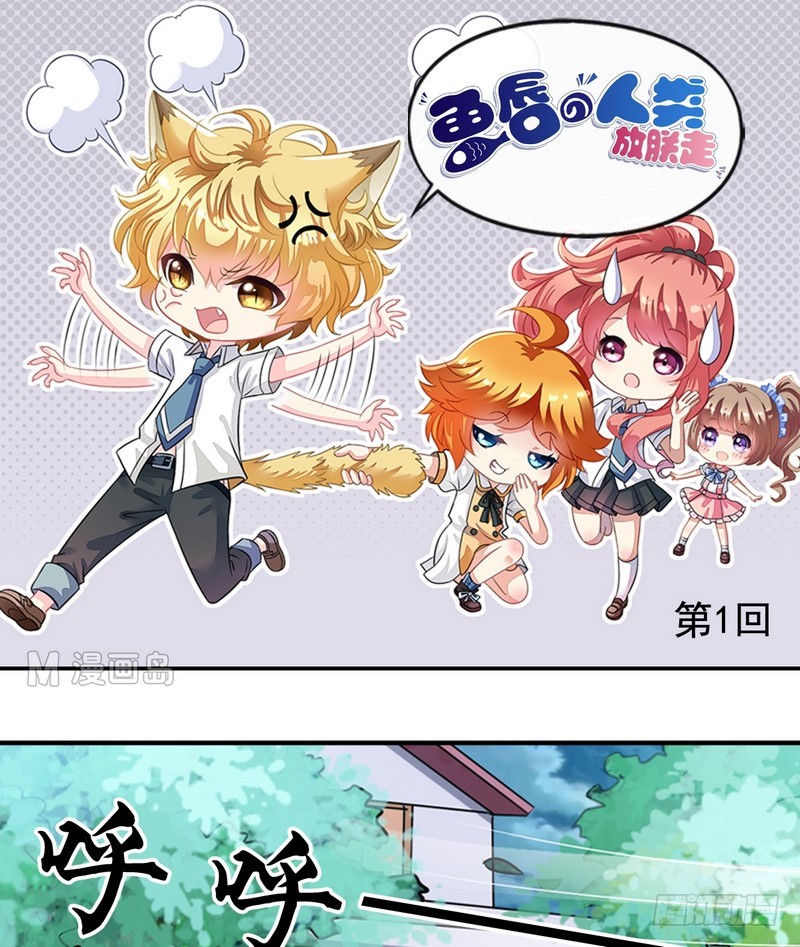 章节图片