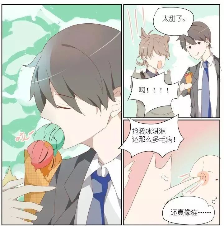 章节图片