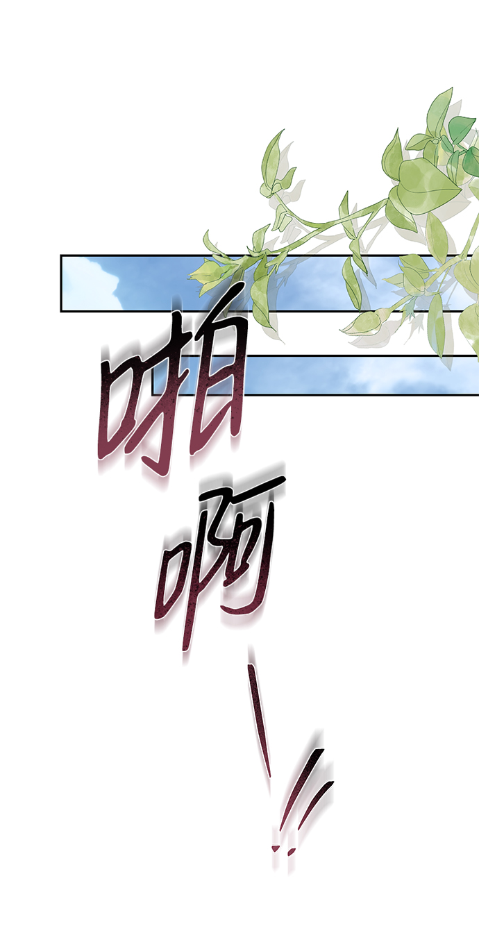 章节图片