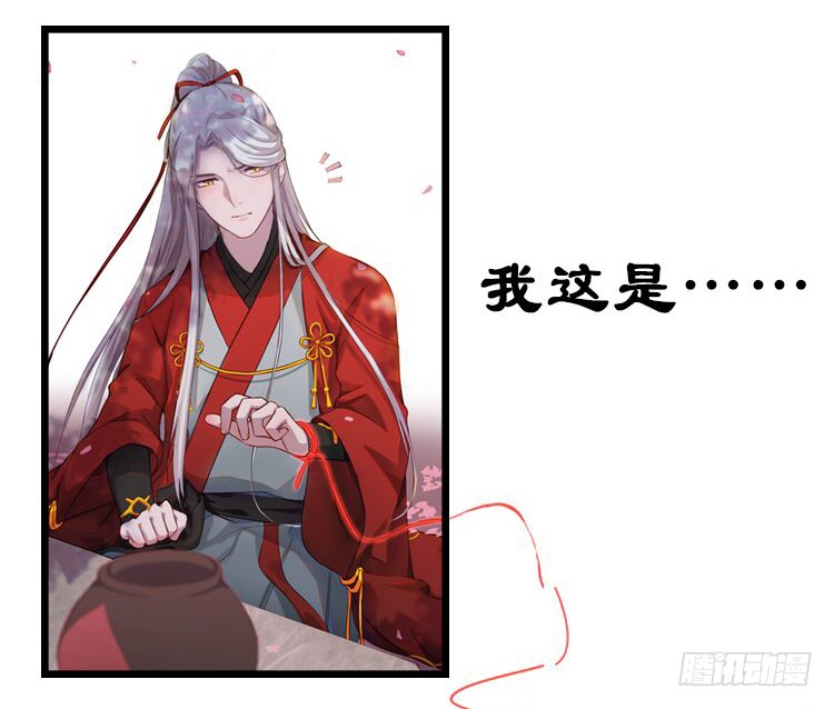 章节图片