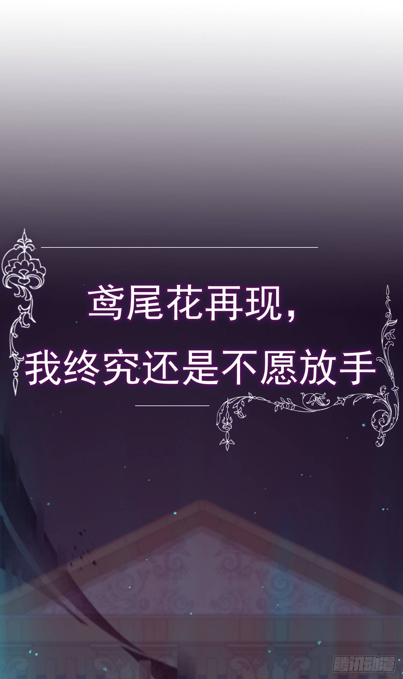 章节图片