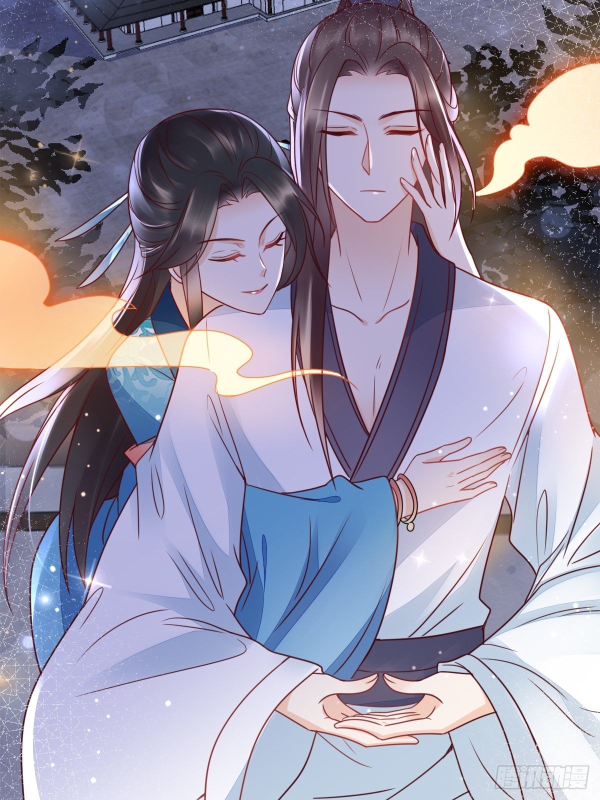 章节图片