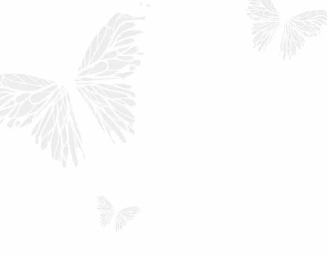 章节图片