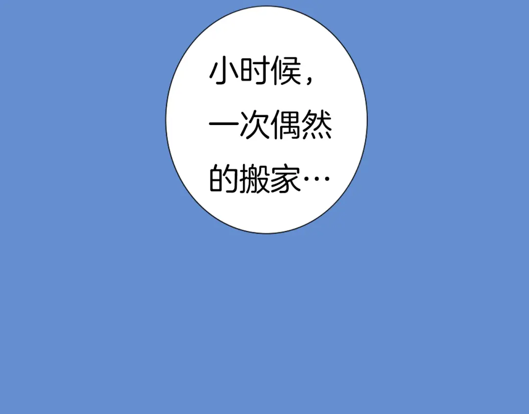 章节图片
