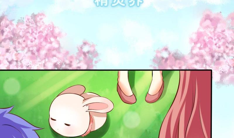 章节图片