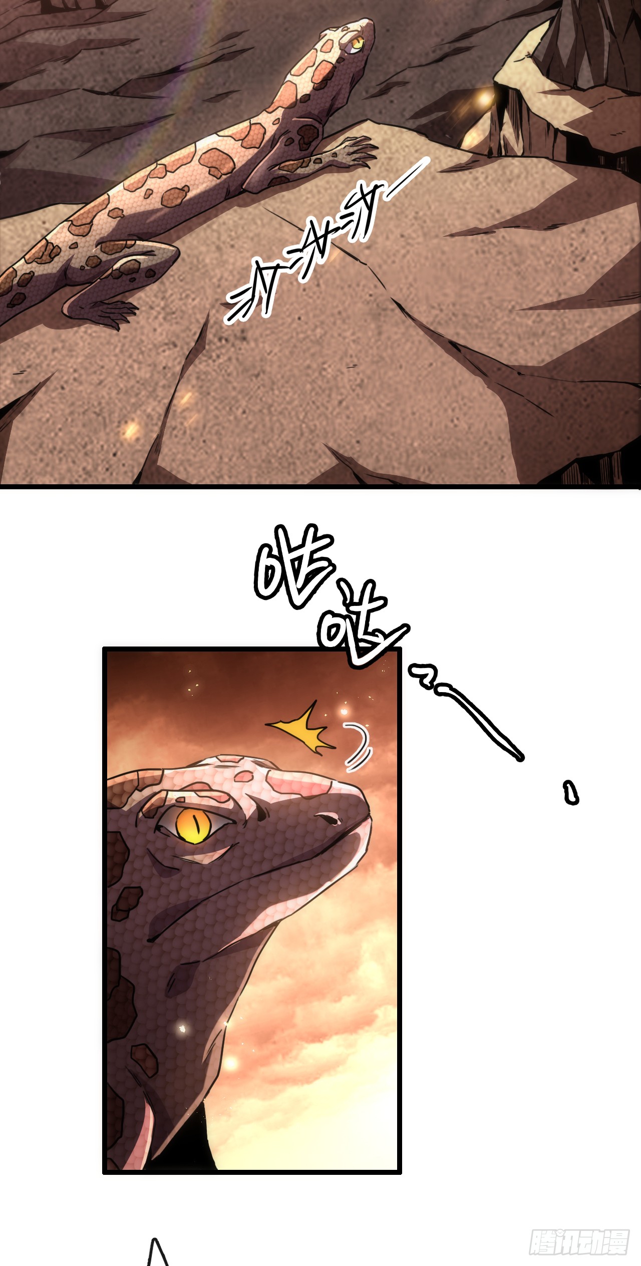 章节图片