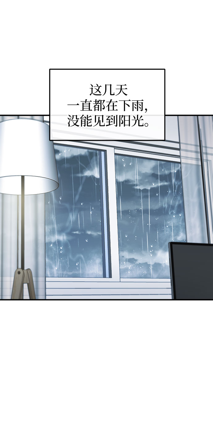 章节图片