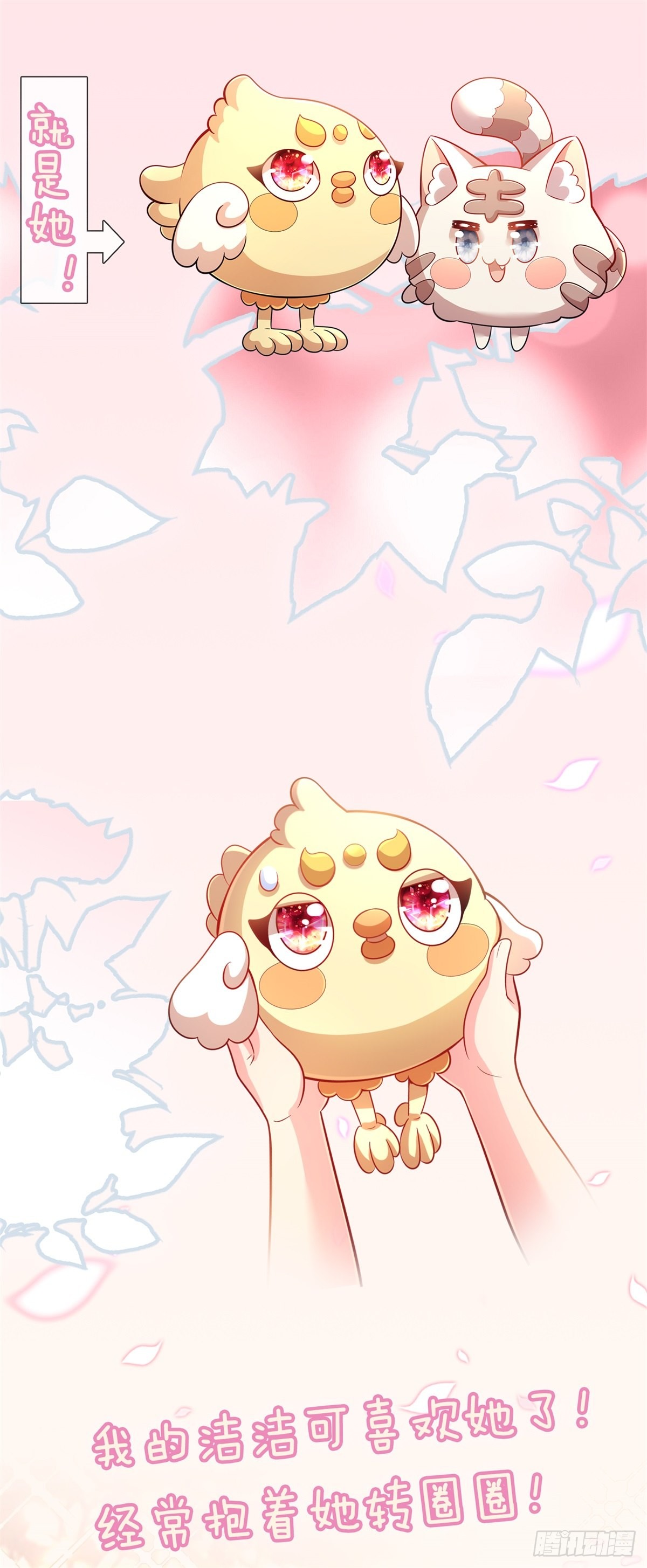 章节图片