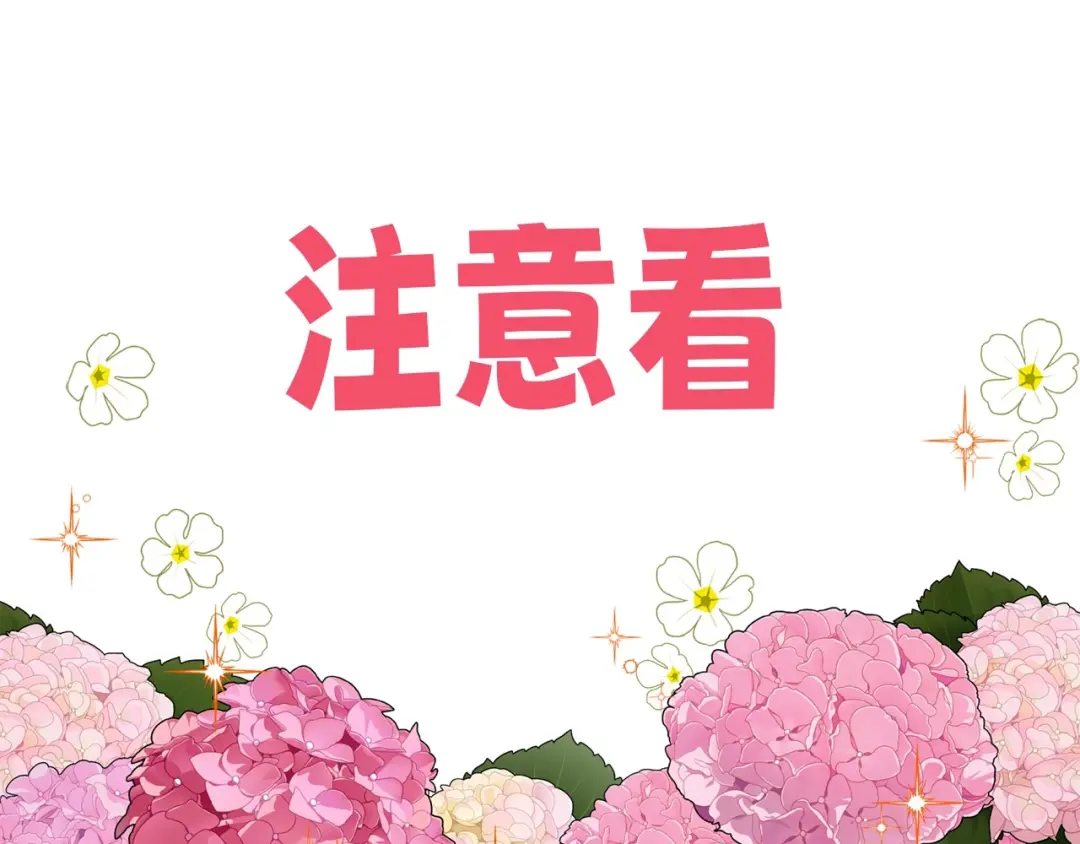 章节图片