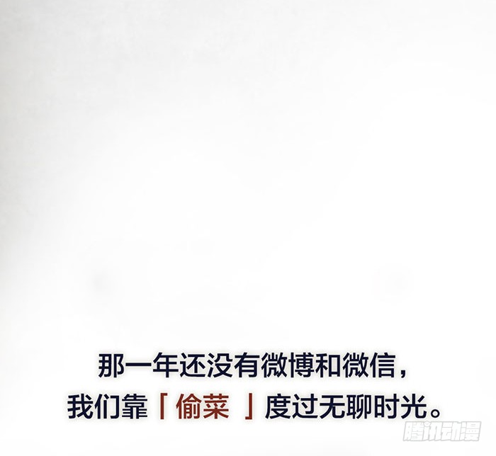 章节图片