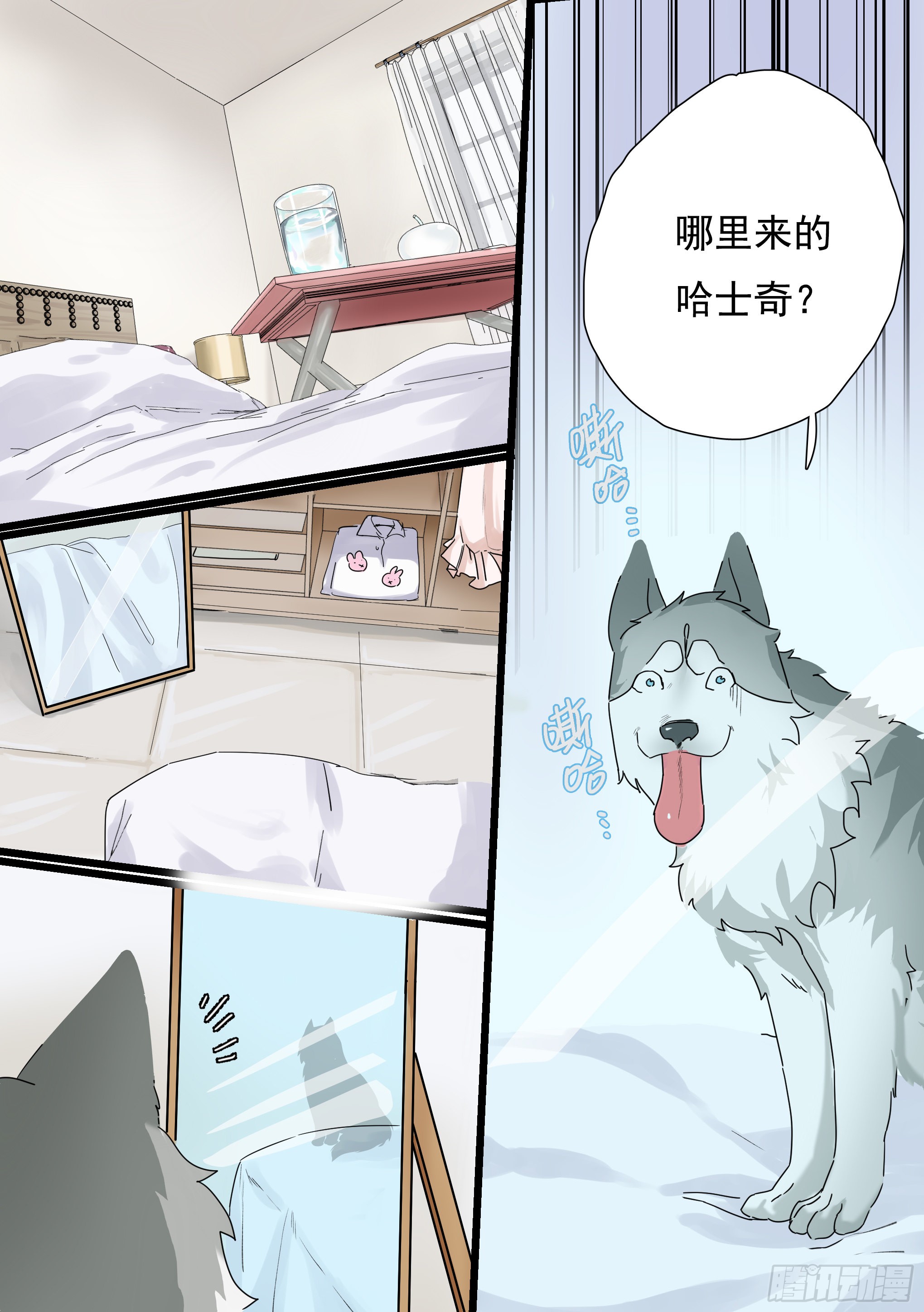 章节图片